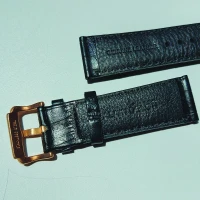 بند ساعت مچی آلن دلون مدل AD307-1535  