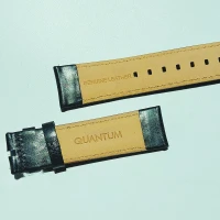 بند ساعت مچی کوانتوم مدلADG649-350